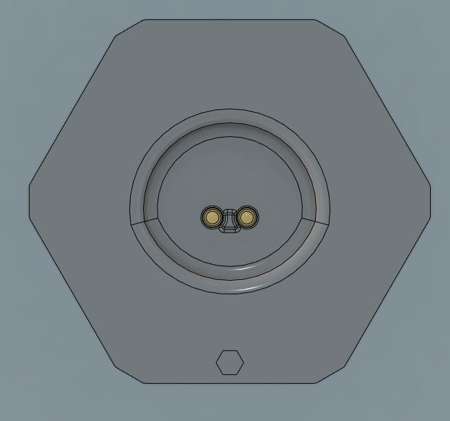 Wahl Detailer Timmer Insert